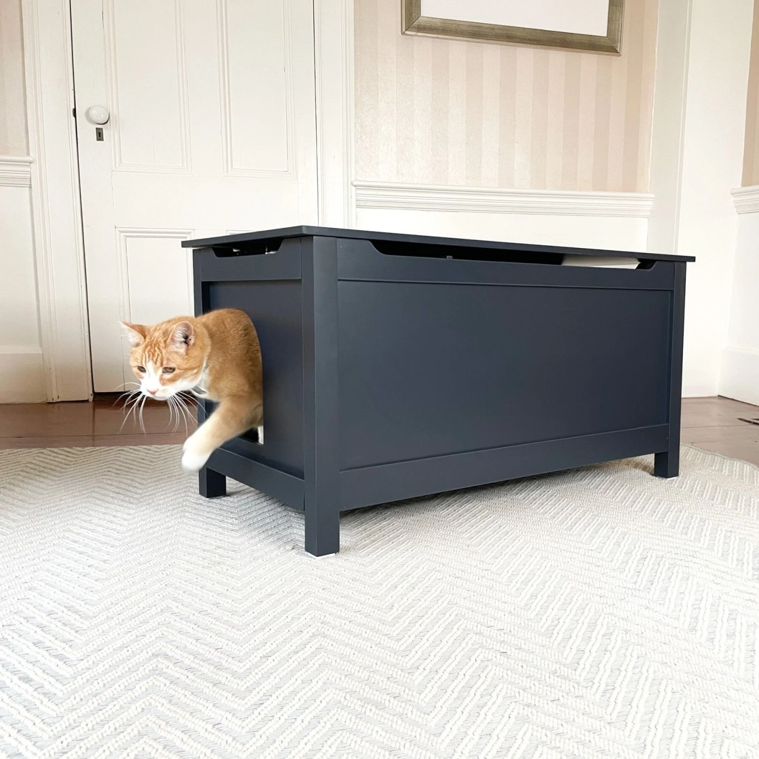 Designer Pet Products Parker Designer Catbox Litter Box Enclosure, Charcoal Black 5 Designer Pet Products Parker Designer Catbox Litter Box Enclosure, Charcoal Black - Image 3