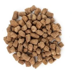 Hauspanther Beef Bites Nuggets Freeze-Dried Raw Cat Treats, 1.5-oz Bag -Trixie || Catit || Nature's Miracle Shop 795830 PT7. AC SS1800 V1677856608