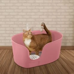 Richell PAW TRAX High Wall Cat Litter Box, X-Large -Trixie || Catit || Nature's Miracle Shop 805006 PT3. AC SS1800 V1678913083