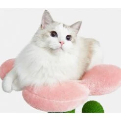 VETRESKA Blooming Cactus 41-in Cat Tree -Trixie || Catit || Nature's Miracle Shop 805102 PT2. AC SS1800 V1680527793