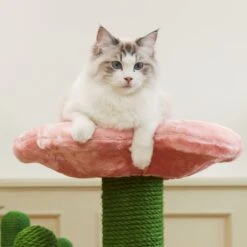 VETRESKA Blooming Cactus 41-in Cat Tree -Trixie || Catit || Nature's Miracle Shop 805102 PT8. AC SS1800 V1680527837