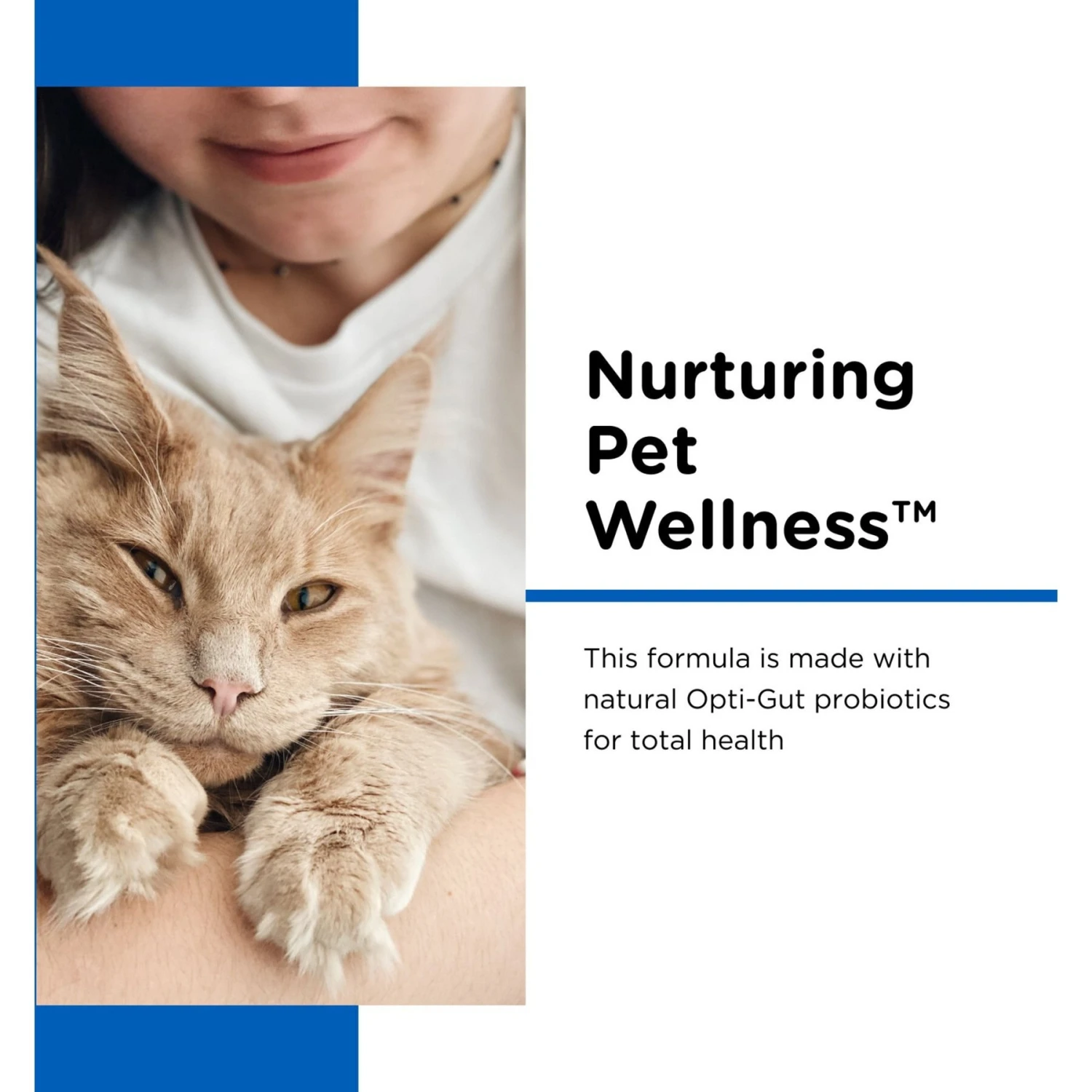 Nutri-Vet Powder Milk Supplement For Cats 5 Nutri-Vet Powder Milk Supplement For Cats - Image 3