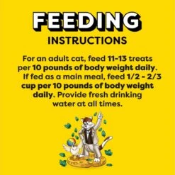 Temptations MixUps Catnip Fever Flavor Soft & Crunchy Cat Treats -Trixie || Catit || Nature's Miracle Shop 81311 PT6. AC SS1800 V1571278118