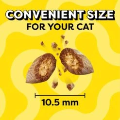 Temptations Classic Savory Salmon Flavor Soft & Crunchy Cat Treats -Trixie || Catit || Nature's Miracle Shop 81335 PT2. AC SS1800 V1594318007