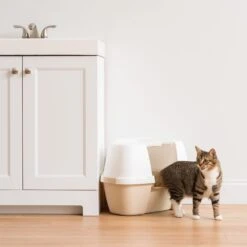 IRIS USA Hooded Corner Cat Litter Box With Front Door Flap & Scoop -Trixie || Catit || Nature's Miracle Shop 816574 PT8. AC SS1800 V1685131607