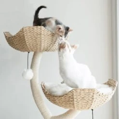 Mau Lifestyle Ivy 3, 53-in Modern Cat Tree, Natural -Trixie || Catit || Nature's Miracle Shop 842054 PT2. AC SS1800 V1682609109