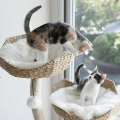 Mau Lifestyle Ivy 3, 53-in Modern Cat Tree, Natural -Trixie || Catit || Nature's Miracle Shop 842054 PT3. AC SS1800 V1682609109