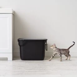 IRIS USA Square Top Entry Cat Litter Box With Scoop, Large 12 IRIS USA Square Top Entry Cat Litter Box With Scoop, Large -Trixie || Catit || Nature's Miracle Shop 846630 PT2. AC SS1800 V1683835901
