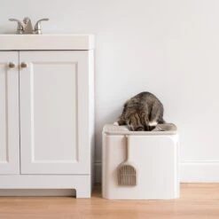 IRIS USA Premium Square Top Entry Cat Litter Box With Scoop, White & Gray, Large -Trixie || Catit || Nature's Miracle Shop 846654 PT5. AC SS1800 V1683835834