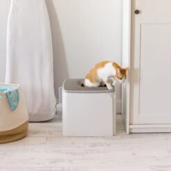 IRIS USA Premium Square Top Entry Cat Litter Box With Scoop, White & Gray, Large -Trixie || Catit || Nature's Miracle Shop 846654 PT6. AC SS1800 V1683834958