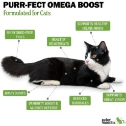 Deley Naturals Fish Oil Cat Supplement, 16-oz Bottle 11 Deley Naturals Fish Oil Cat Supplement, 16-oz Bottle -Trixie || Catit || Nature's Miracle Shop 847526 PT4. AC SS1800 V1703619676