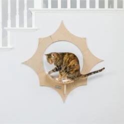 Armarkat Sun Shape Modern Wall-Mounted Wall Shelves Cat Furniture, Beige -Trixie || Catit || Nature's Miracle Shop 847718 PT5. AC SS1800 V1683834957