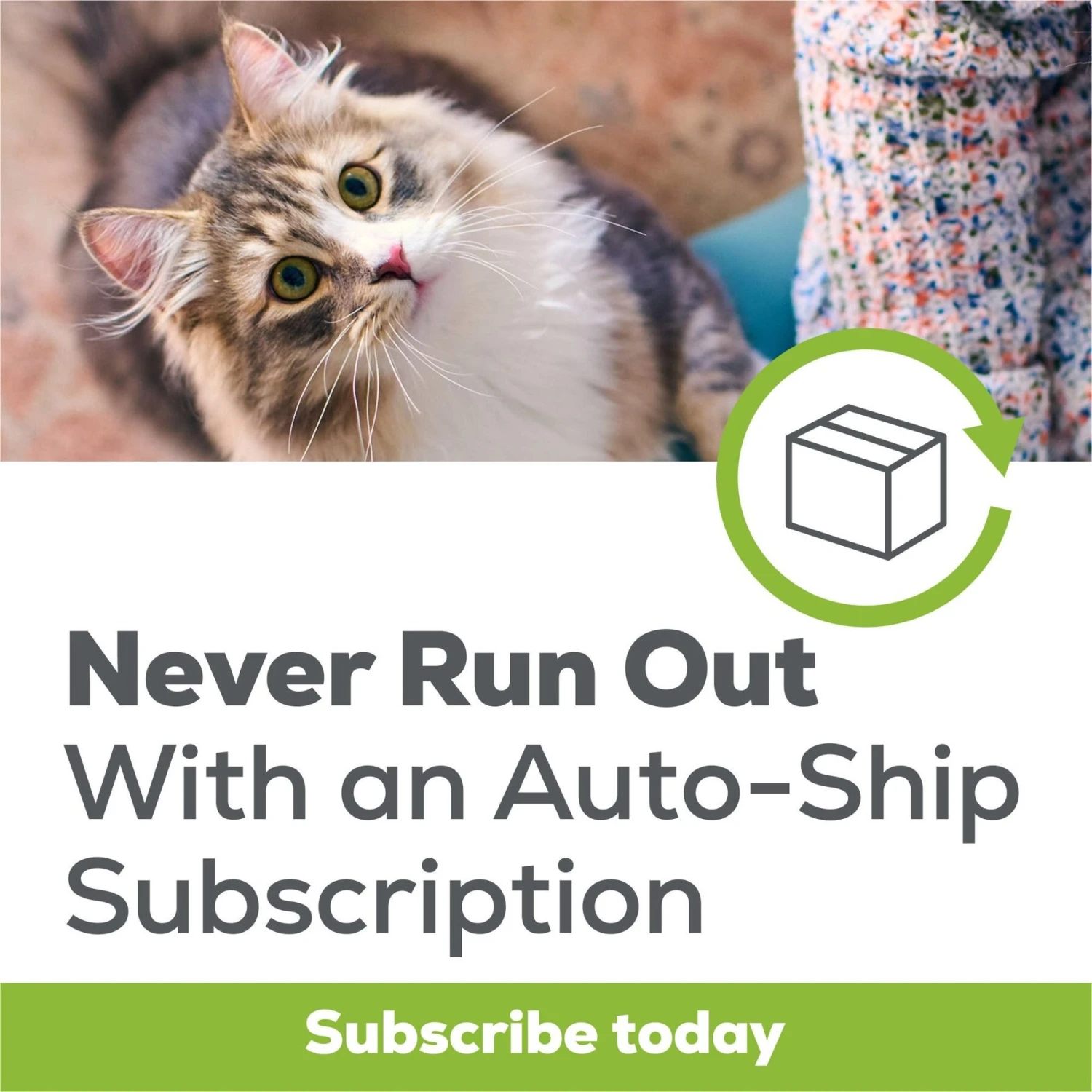 Tidy Cats Breeze Garden Grove Scented Cat Pad, 8 Count 10 Tidy Cats Breeze Garden Grove Scented Cat Pad, 8 Count - Image 8