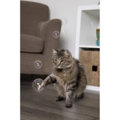 SmartyKat Bubble Nip Bubbles Pure & Potent Catnip, 0.6-oz Container -Trixie || Catit || Nature's Miracle Shop 853350 PT6. AC SS1800 V1687267542