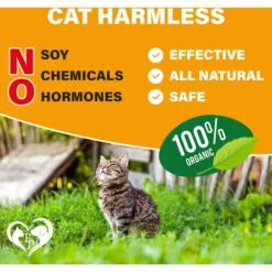 Beloved Pets Flea & Tick Prevention Chewable Pills For Cats, 10-oz Pack 15 Beloved Pets Flea & Tick Prevention Chewable Pills For Cats, 10-oz Pack -Trixie || Catit || Nature's Miracle Shop 862574 PT6. AC SS1800 V1694441951