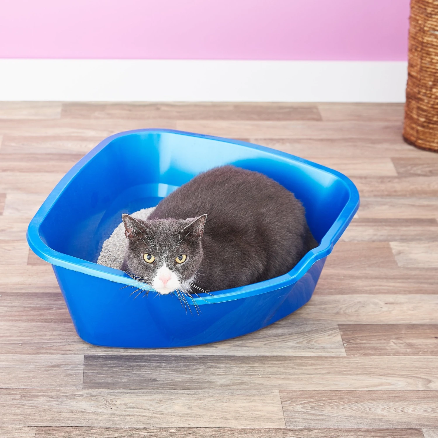 Van Ness High Side Corner Cat Litter Pan, Blue 3 Van Ness High Side Corner Cat Litter Pan, Blue