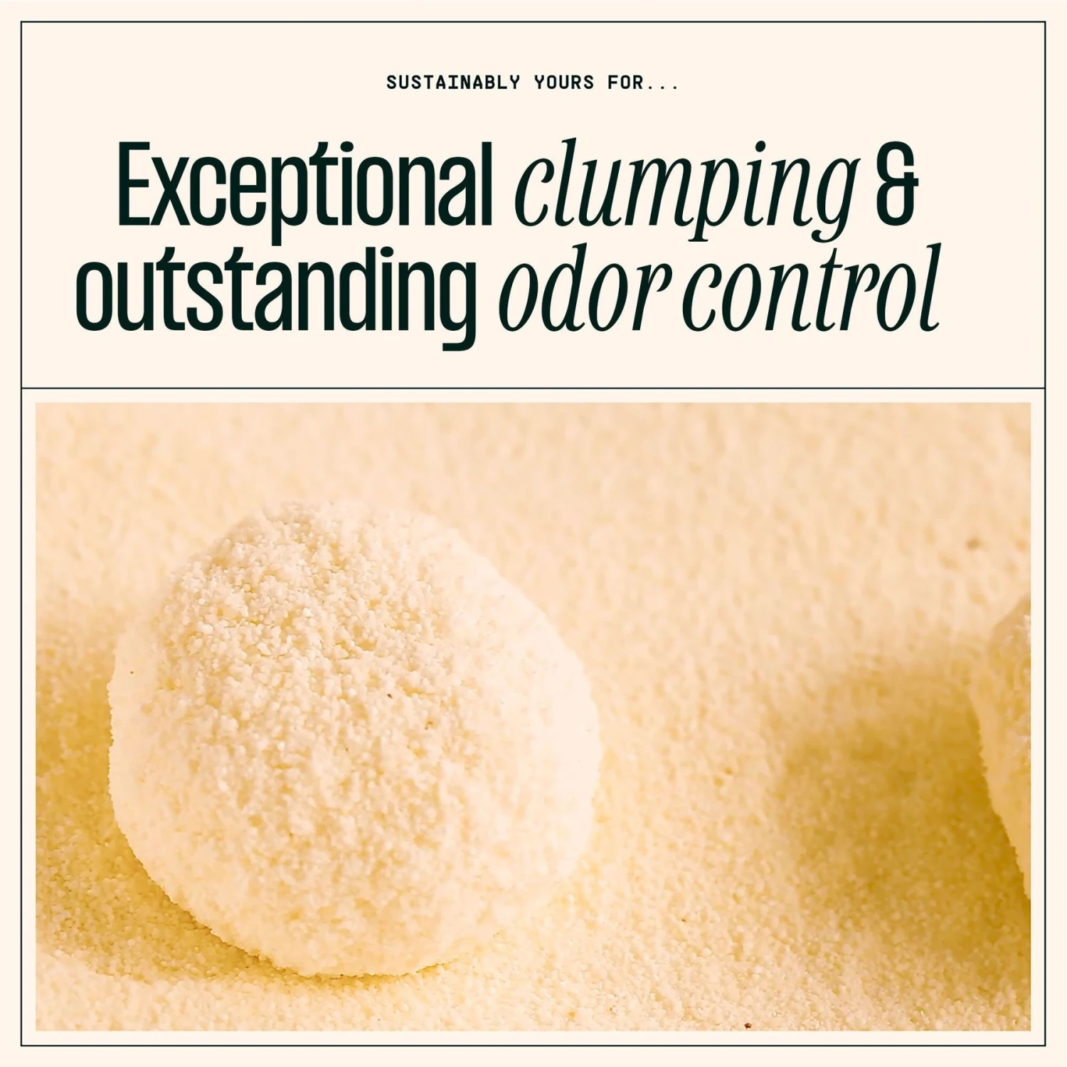 Sustainably Yours Large Grains Natural Cat Litter, 10-lb Bag 5 Sustainably Yours Large Grains Natural Cat Litter, 10-lb Bag - Image 3