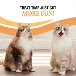 Good 'n' Tasty Savory Spoonables Triple Flavor Variety Pack Lickable Cat Treat -Trixie || Catit || Nature's Miracle Shop 867622 PT6. AC SS1800 V1691514807