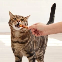 Good 'n' Tasty Chicken, Salmon, Tuna Kabob Cat Treats -Trixie || Catit || Nature's Miracle Shop 867662 PT6. AC SS1800 V1685489528