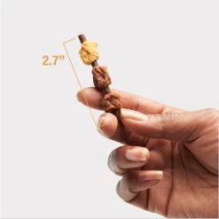 Good 'n' Tasty Chicken, Salmon, Tuna Kabob Cat Treats -Trixie || Catit || Nature's Miracle Shop 867662 PT8. AC SS1800 V1691514807