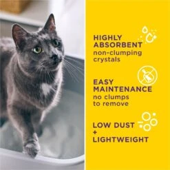 Tidy Cats Alert Health Monitoring Unscented Non-Clumping Cat Litter, 8-lb Bag -Trixie || Catit || Nature's Miracle Shop 871510 PT3. AC SS1800 V1700256917