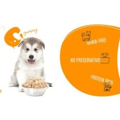 Chef Kitty Freeze-Dried Salmon Dog & Cat Treat -Trixie || Catit || Nature's Miracle Shop 877334 PT5. AC SS1800 V1687356035