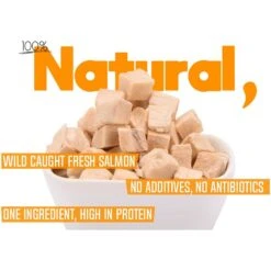 Chef Kitty Freeze-Dried Salmon Dog & Cat Treat -Trixie || Catit || Nature's Miracle Shop 877334 PT6. AC SS1800 V1687295714