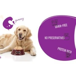 Chef Kitty Freeze-Dried Chicken Heart Dog & Cat Treat -Trixie || Catit || Nature's Miracle Shop 877350 PT5. AC SS1800 V1687356037