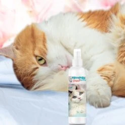 The Blissful Dog Simply Everything Fresh Deodorizing Refresher Cat Spray, 4-oz Bottle 10 The Blissful Dog Simply Everything Fresh Deodorizing Refresher Cat Spray, 4-oz Bottle -Trixie || Catit || Nature's Miracle Shop 879862 PT3. AC SS1800 V1689279476