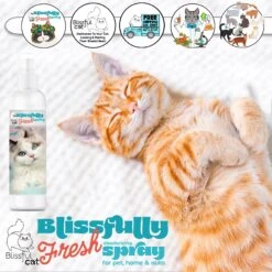 The Blissful Dog Simply Everything Fresh Deodorizing Refresher Cat Spray, 4-oz Bottle 11 The Blissful Dog Simply Everything Fresh Deodorizing Refresher Cat Spray, 4-oz Bottle -Trixie || Catit || Nature's Miracle Shop 879862 PT4. AC SS1800 V1689279479