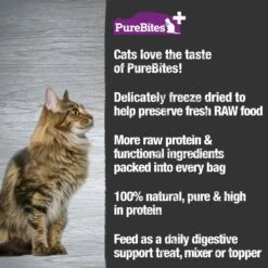 PureBites+ Gut & Digestion Cat Treats, 1.09-oz Bag -Trixie || Catit || Nature's Miracle Shop 889478 PT3. AC SS1800 V1692994035