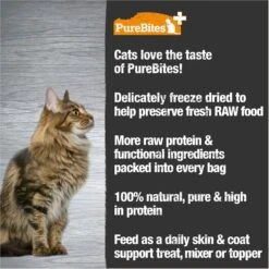 PureBites+ Skin & Coat Cat Treats, 1.09-oz Bag -Trixie || Catit || Nature's Miracle Shop 889494 PT3. AC SS1800 V1693243296
