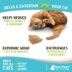 Raw Paws All-Natural Silvervine Powder For Cats, 2.6-oz Jar 9 Raw Paws All-Natural Silvervine Powder For Cats, 2.6-oz Jar -Trixie || Catit || Nature's Miracle Shop 891238 PT2. AC SS1800 V1687465646