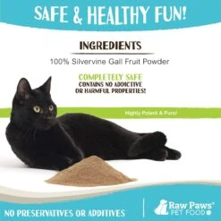 Raw Paws All-Natural Silvervine Powder For Cats, 2.6-oz Jar 10 Raw Paws All-Natural Silvervine Powder For Cats, 2.6-oz Jar -Trixie || Catit || Nature's Miracle Shop 891238 PT3. AC SS1800 V1687465650