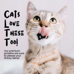 Sprankles Duck Heart Grain-Free Freeze-Dried Dog & Cat Treat, 5-oz Bag -Trixie || Catit || Nature's Miracle Shop 891254 PT4. AC SS1800 V1688567970