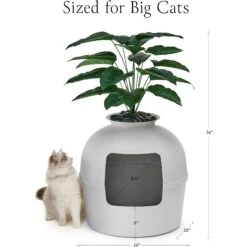 Bundle & Bliss Secret Litter Box Hidden Cat Litter Box Plant -Trixie || Catit || Nature's Miracle Shop 897430 PT5. AC SS1800 V1687891877