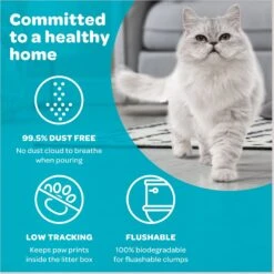 SWheat Scoop Fast-Clumping Unscented Natural Clumping Wheat Cat Litter 13 SWheat Scoop Fast-Clumping Unscented Natural Clumping Wheat Cat Litter -Trixie || Catit || Nature's Miracle Shop 90868 PT4. AC SS1800 V1667518082