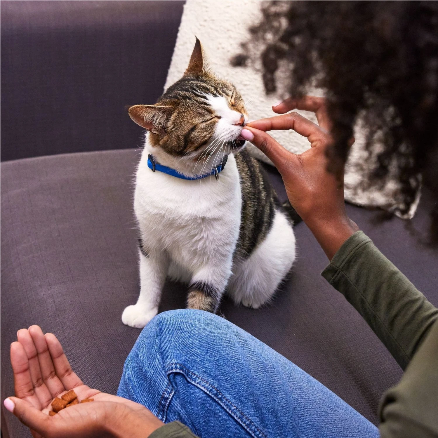 Temptations Crunchy Seasonal Holiday Bundle Snacky Penguin With Holiday Dinner Crunchy Cat Treats, 16-oz Tub 5 Temptations Crunchy Seasonal Holiday Bundle Snacky Penguin With Holiday Dinner Crunchy Cat Treats, 16-oz Tub - Image 3