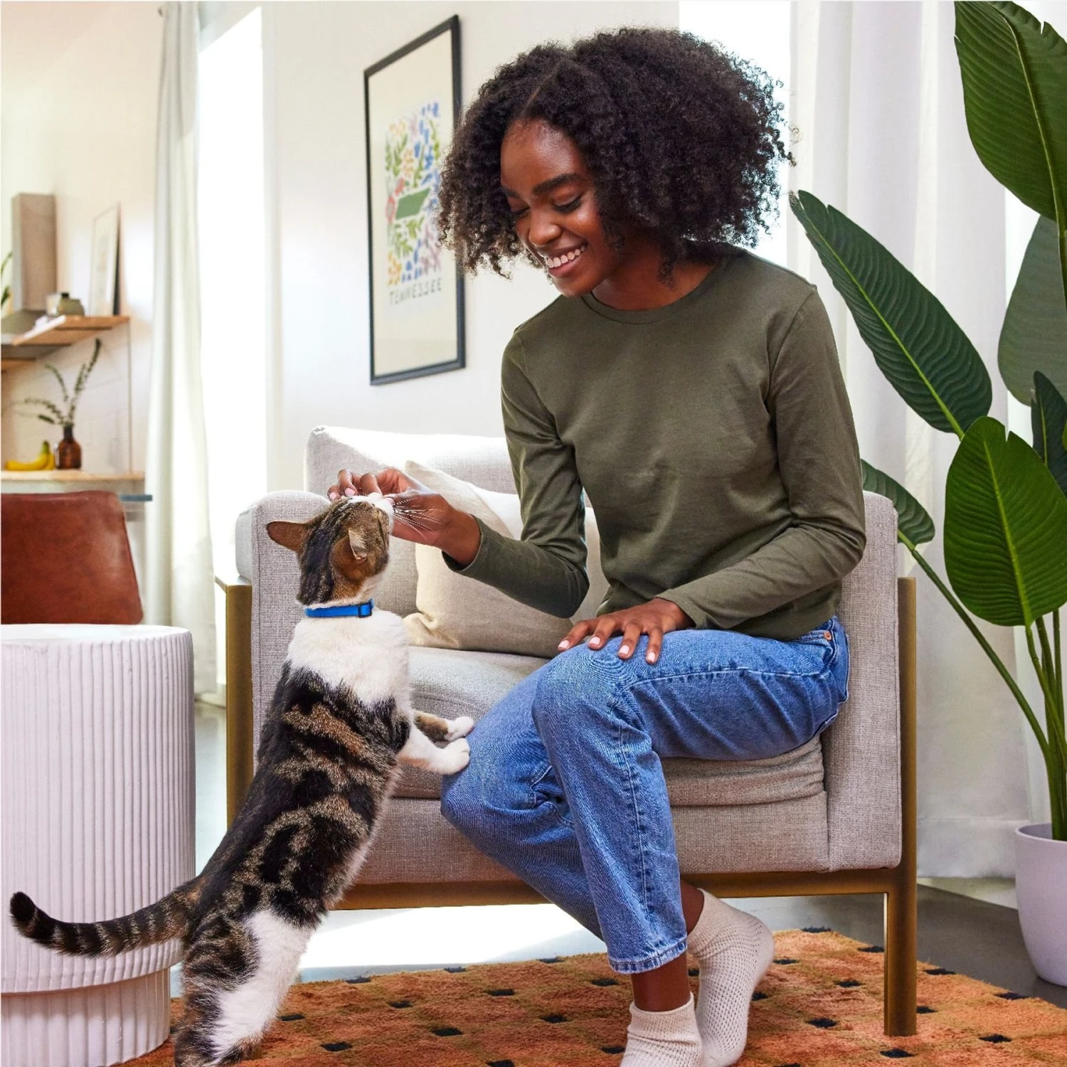 Temptations Crunchy Seasonal Holiday Bundle Snacky Penguin With Holiday Dinner Crunchy Cat Treats, 16-oz Tub 7 Temptations Crunchy Seasonal Holiday Bundle Snacky Penguin With Holiday Dinner Crunchy Cat Treats, 16-oz Tub - Image 5