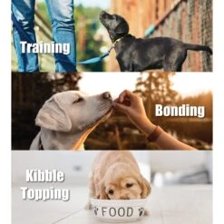 Whole Life Just One Salmon Value Pack Freeze-Dried Dog & Cat Treats, 8-oz Bag, Case Of 6 -Trixie || Catit || Nature's Miracle Shop 929974 PT2. AC SS1800 V1691175285