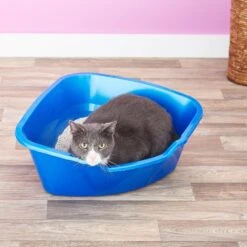 Frisco Collapsible Wire Cat Cage Playpen & Van Ness High Side Corner Cat Litter Pan, Blue -Trixie || Catit || Nature's Miracle Shop 933382 PT8. AC SS1800 V1692305264