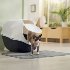 Frisco High Sided Cat Litter Box, Extra Large & Frisco Rectangular Cat Litter Mat -Trixie || Catit || Nature's Miracle Shop 933398 PT8. AC SS1800 V1692303236