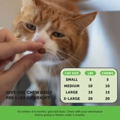 PetHonesty Probiotics Gut + Immune Health Chews Supplement For Cats, 3.7-oz Bag -Trixie || Catit || Nature's Miracle Shop 941374 PT5. AC SS1800 V1693589483