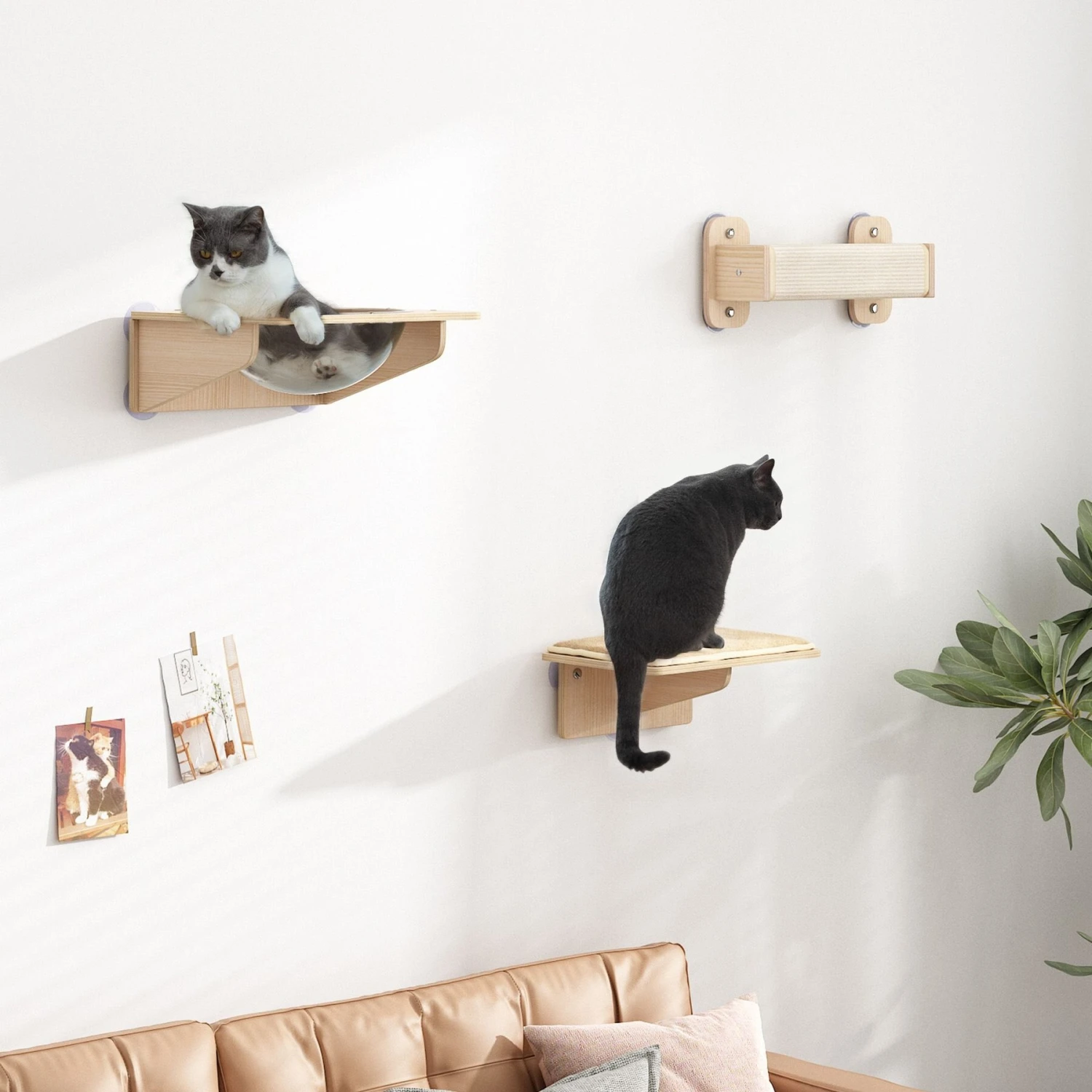 Coziwow 3 Pieces Wall Mounted Cat Perch Set 4 Coziwow 3 Pieces Wall Mounted Cat Perch Set - Image 2