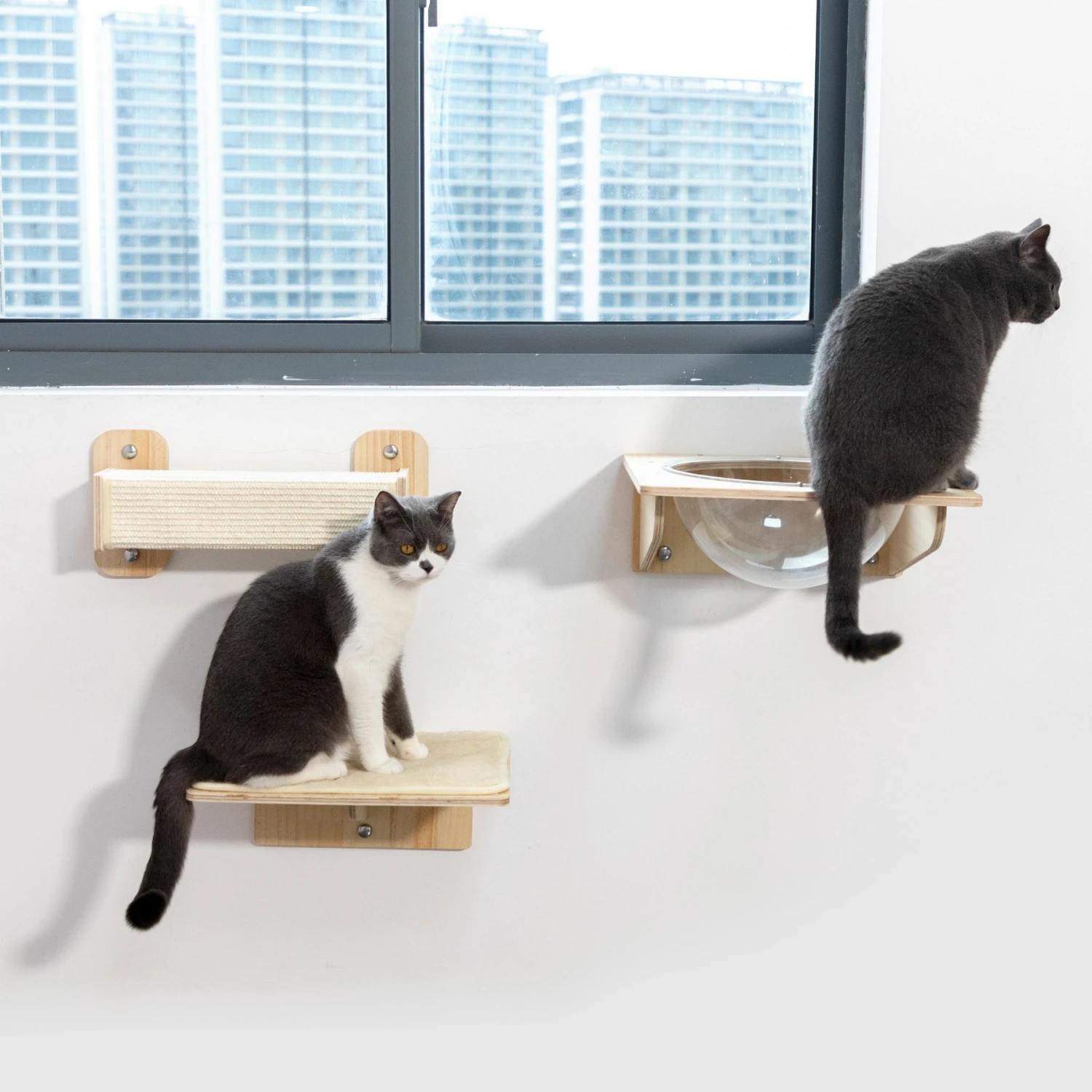 Coziwow 3 Pieces Wall Mounted Cat Perch Set 9 Coziwow 3 Pieces Wall Mounted Cat Perch Set - Image 7