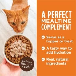 Instinct Healthy Cravings Grain-Free Cuts & Gravy Real Chicken Recipe Wet Cat Food Topper -Trixie || Catit || Nature's Miracle Shop 94212 PT3. AC SS1800 V1701881288