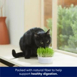 Frisco Natural Cat Grass Growing Kit -Trixie || Catit || Nature's Miracle Shop 944102 PT3. AC SS1800 V1701364933