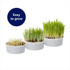 Frisco Natural Cat Grass Growing Kit -Trixie || Catit || Nature's Miracle Shop 944102 PT4. AC SS1800 V1701364932