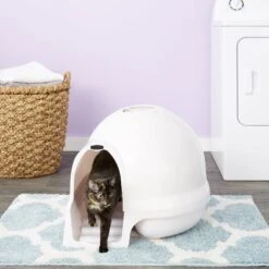 Booda Dome Cleanstep Litter Box & Petmate Booda Litter Box Charcoal Air Filters -Trixie || Catit || Nature's Miracle Shop 947510 PT4. AC SS1800 V1693925089