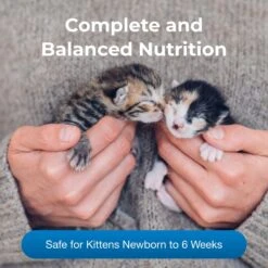 PetAg KMR Powder Milk Supplement For Kittens & PetAg KMR Liquid Milk Supplement For Kittens -Trixie || Catit || Nature's Miracle Shop 947822 PT2. AC SS1800 V1693344549